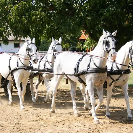 Gasztro Elmenybirtok - Balatonlelle-radpuszta * Balatonlelle