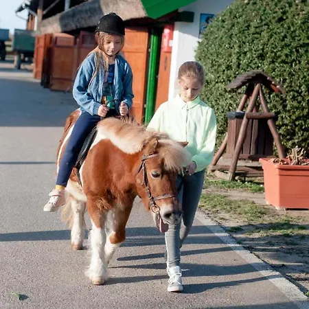 Gæstehus Gasztro Elmenybirtok - Balatonlelle-radpuszta Balatonlelle